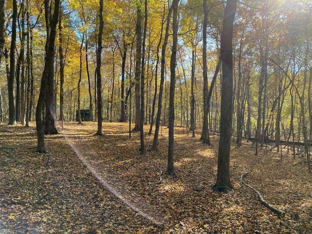 74 Acres of Land for Sale in Kuttawa, Kentucky