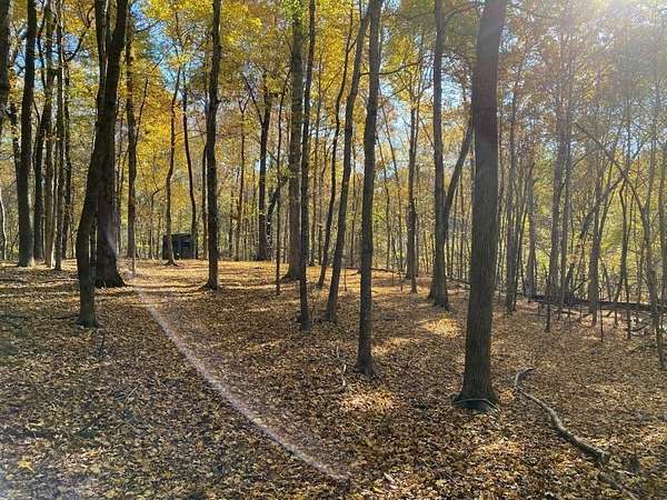 74 Acres of Land for Sale in Kuttawa, Kentucky