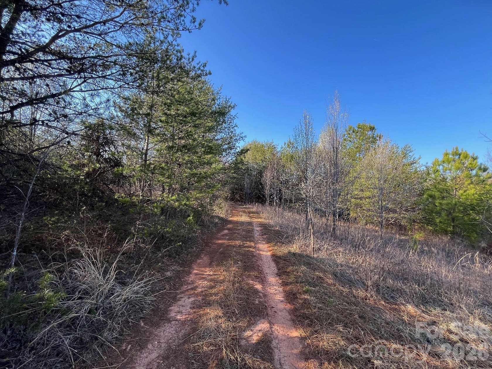 97.8 Acres of Recreational & Residential Land for Sale in Nebo, North Carolina