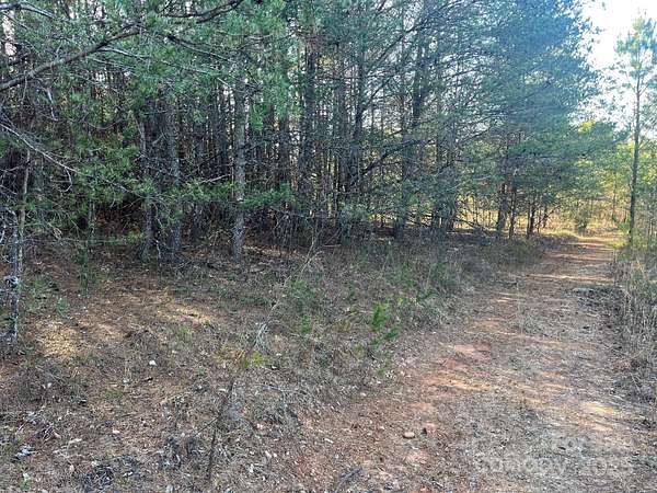 106 Acres of Recreational Land for Sale in Nebo, North Carolina