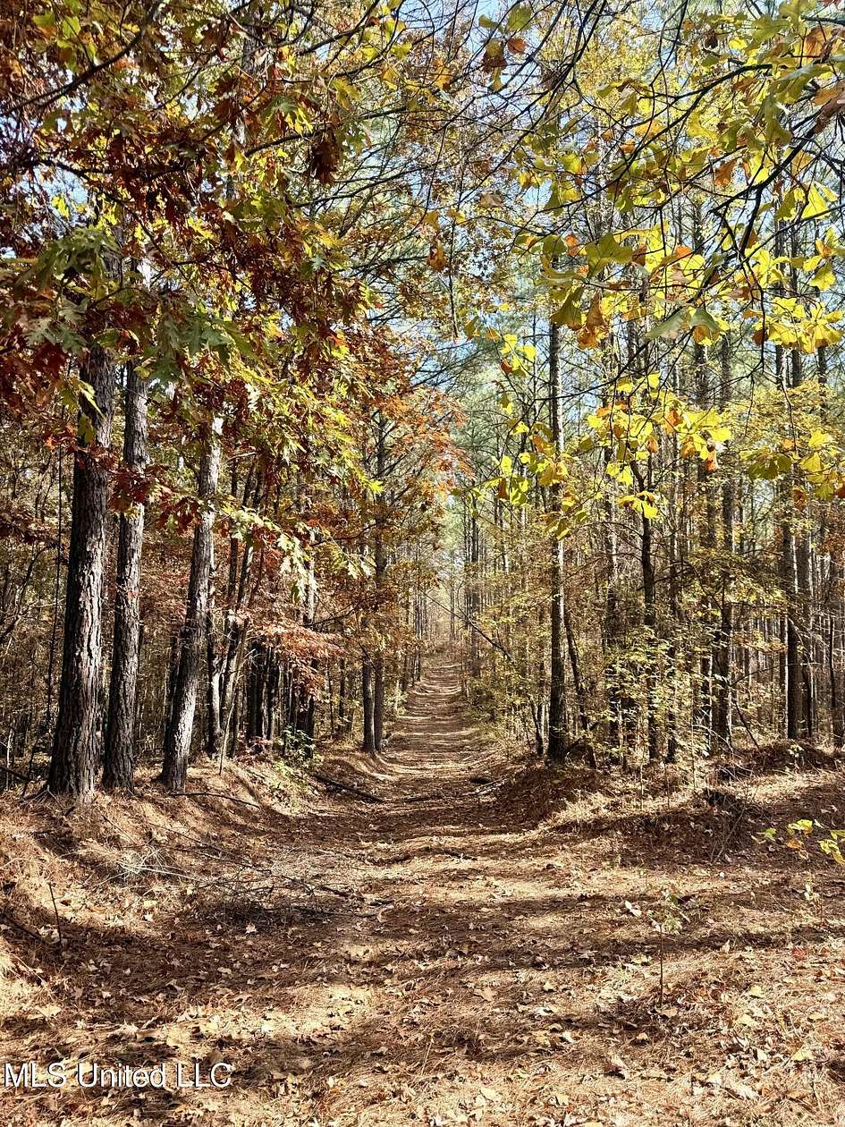 323 Acres of Recreational Land for Sale in Holly Springs, Mississippi