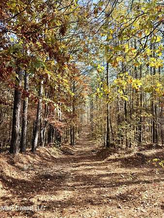 323 Acres of Recreational Land for Sale in Holly Springs, Mississippi
