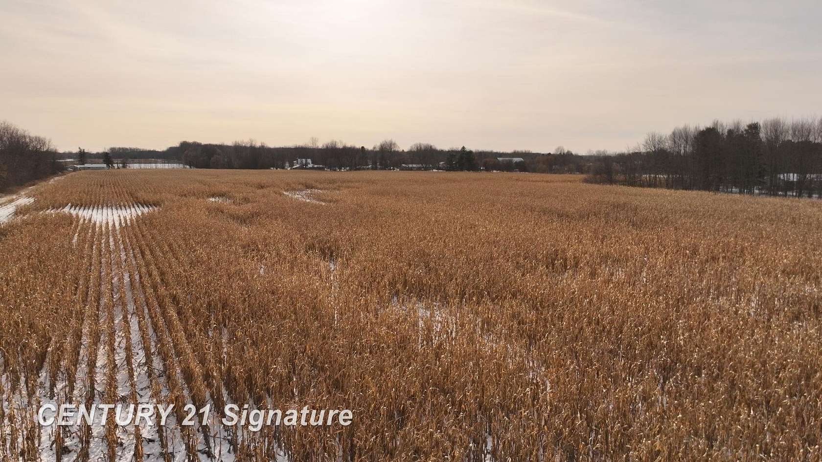 41 Acres of Recreational Land for Sale in Clio, Michigan