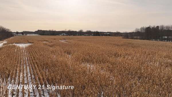 41 Acres of Recreational Land for Sale in Clio, Michigan