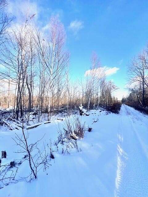 10 Acres of Recreational Land for Sale in Linneus, Maine