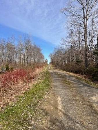 10 Acres of Recreational & Residential Land for Sale in Linneus, Maine