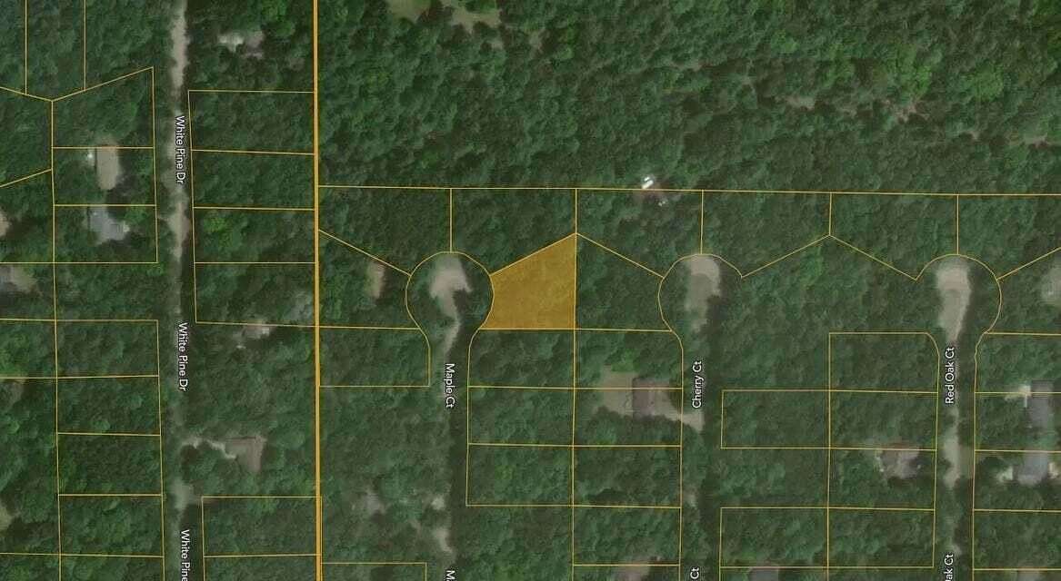 0.44 Acres of Residential Land for Sale in Canadian Lakes, Michigan