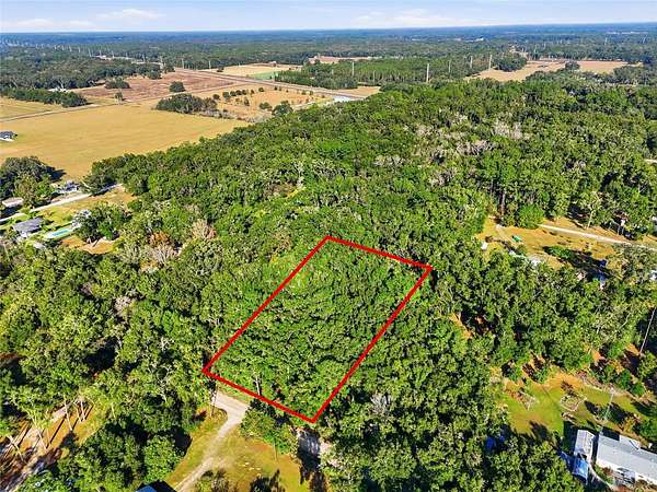 1.25 Acres of Residential Land for Sale in Williston, Florida
