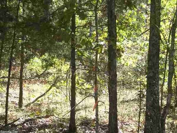 46.7 Acres of Recreational & Residential Land for Sale in Drasco, Arkansas