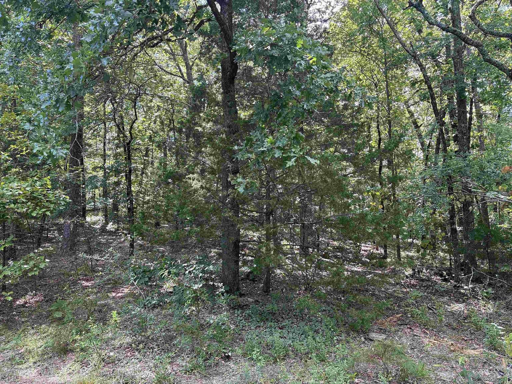 0.26 Acres of Residential Land for Sale in Hot Springs Village, Arkansas