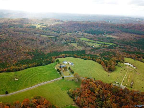 38.4 Acres of Recreational Land for Sale in Eva, Alabama