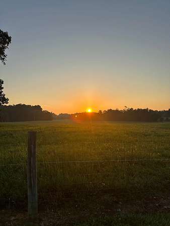 2.69 Acres of Residential Land for Sale in Wartrace, Tennessee