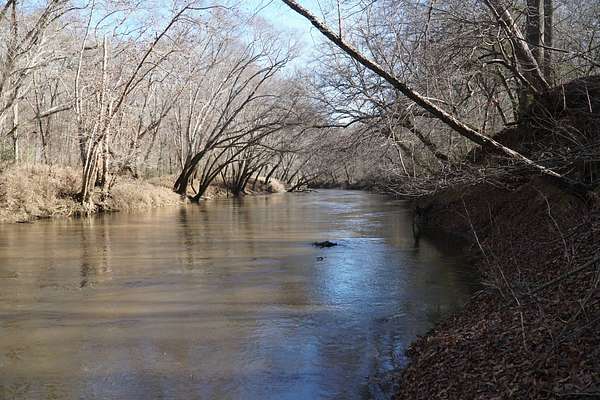 46 Acres of Recreational Land for Sale in Hodges, Alabama