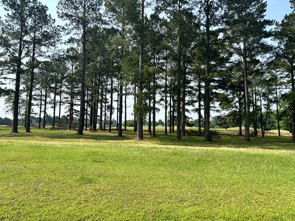 1 Acre of Residential Land for Sale in Manning, South Carolina