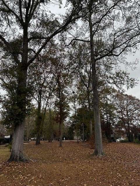 0.2 Acres of Land for Sale in Manning, South Carolina