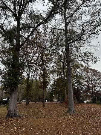 0.2 Acres of Land for Sale in Manning, South Carolina