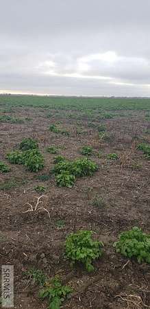 1.46 Acres of Residential Land for Sale in Rexburg, Idaho