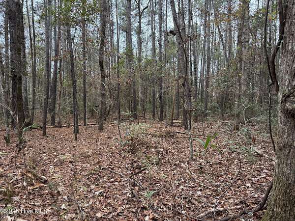 12 Acres of Recreational Land for Sale in Rocky Point, North Carolina