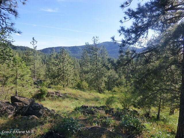 10 Acres of Residential Land for Sale in Coeur d'Alene, Idaho