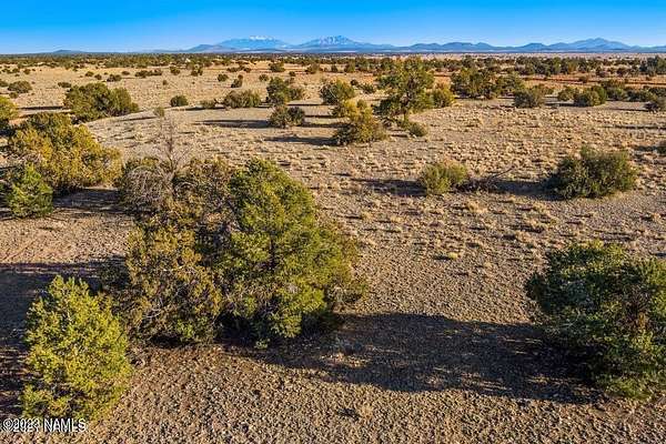 10 Acres of Land for Sale in Williams, Arizona
