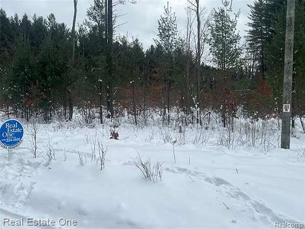 90 Acres of Recreational Land for Sale in Leroy, Michigan