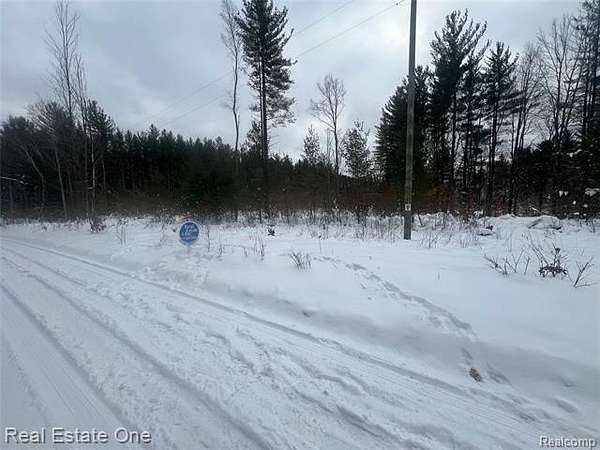 90 Acres of Recreational Land for Sale in Leroy, Michigan