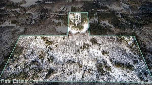 90 Acres of Recreational Land for Sale in Leroy, Michigan