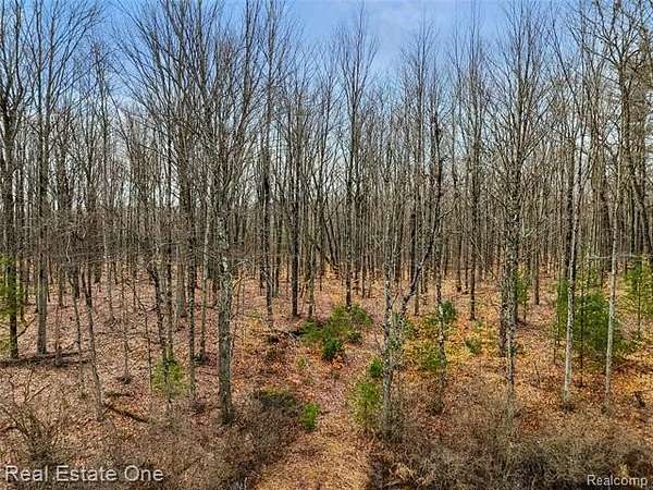 90 Acres of Recreational & Residential Land for Sale in Leroy, Michigan