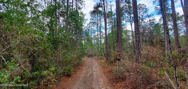 0.45 Acres of Residential Land for Sale in DeLand, Florida
