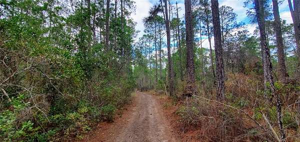 0.45 Acres of Residential Land for Sale in DeLand, Florida