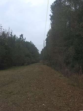 3.52 Acres of Residential Land for Sale in Conway, South Carolina