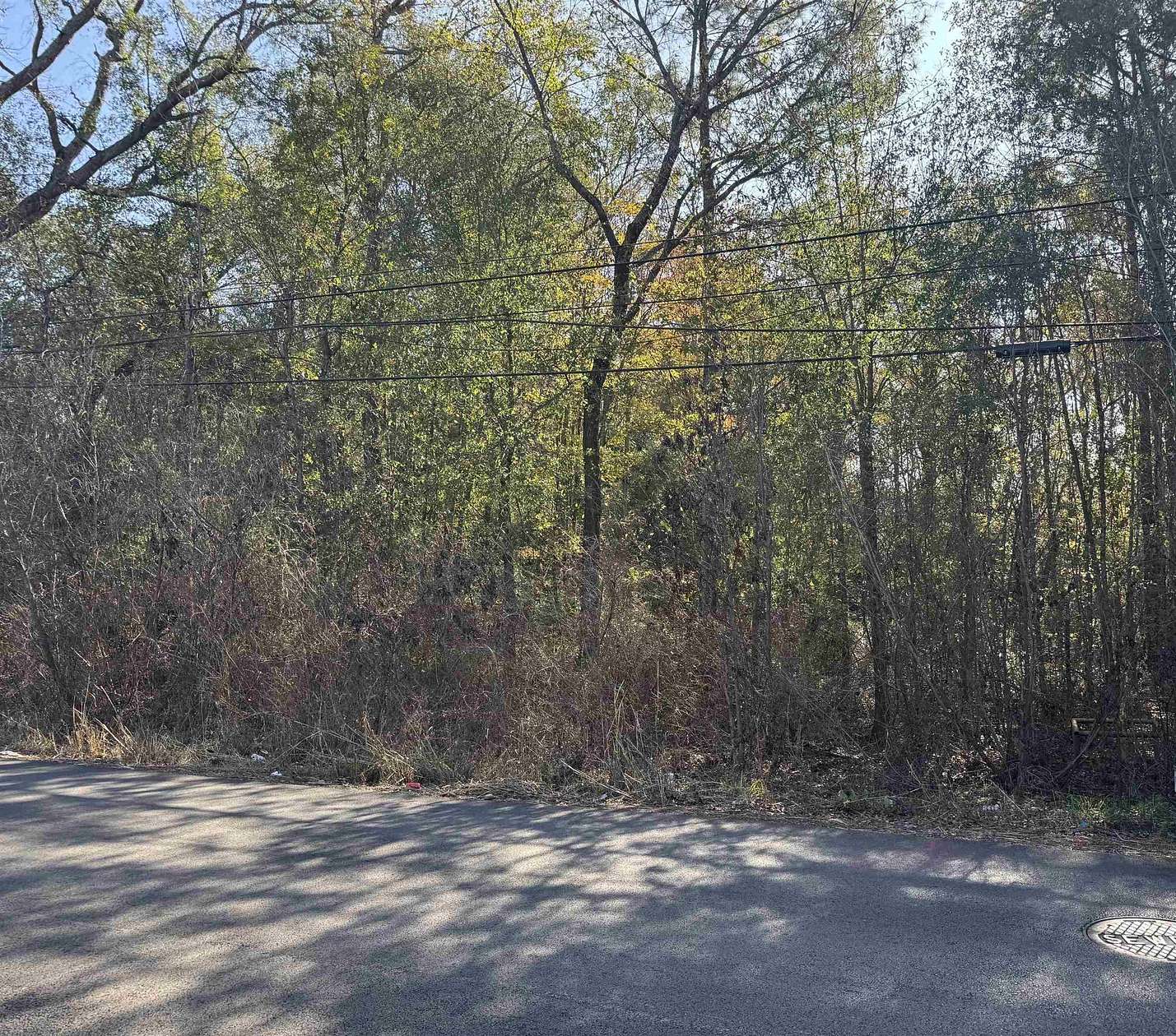 0.54 Acres of Land for Sale in Henderson, Texas