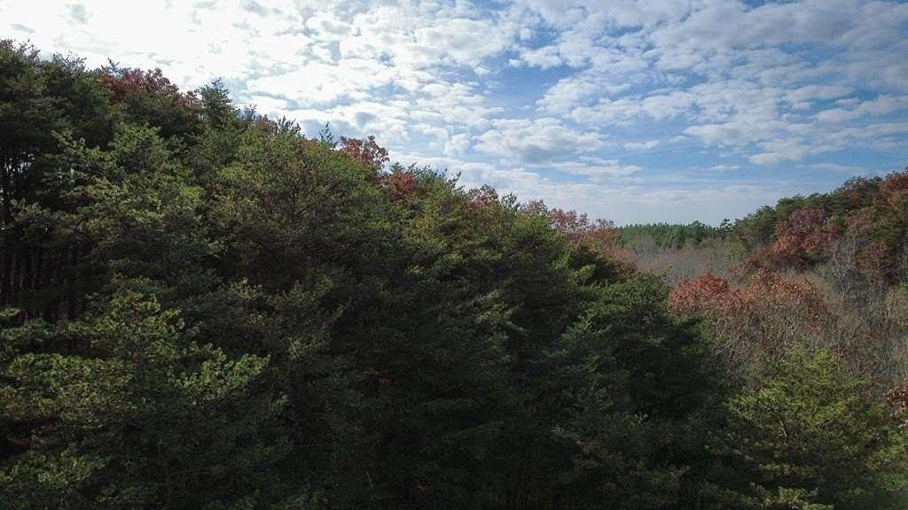 4.89 Acres of Land for Sale in Fairmount, Georgia