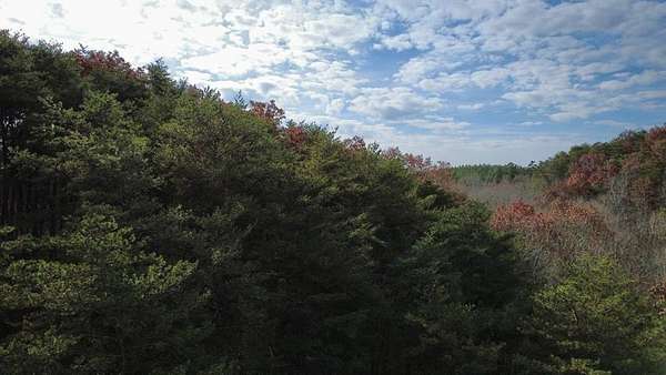 4.89 Acres of Land for Sale in Fairmount, Georgia