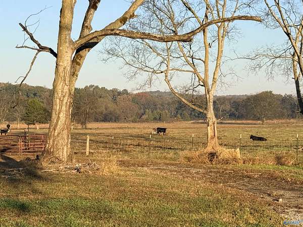 53 Acres of Agricultural Land for Sale in Danville, Alabama