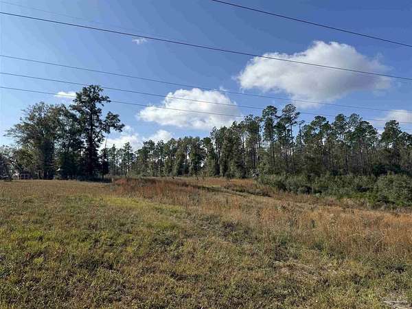 38 Acres of Land for Sale in Cantonment, Florida