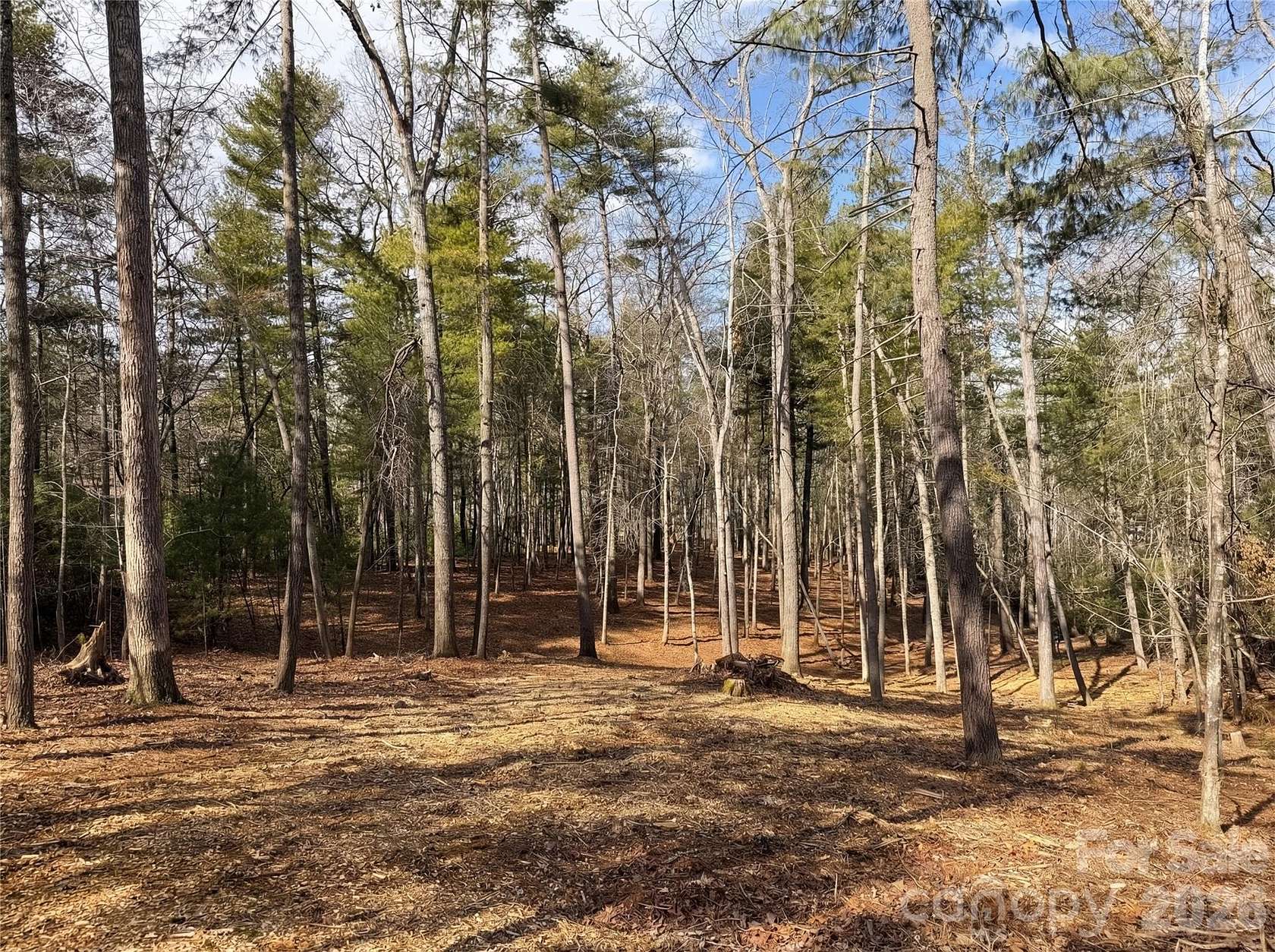 2 Acres of Residential Land for Sale in Asheville, North Carolina