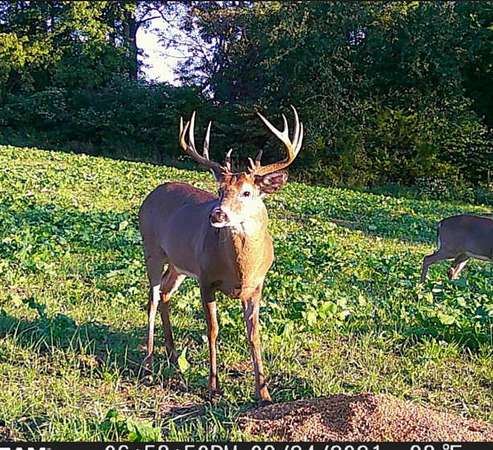 77 Acres of Recreational Land for Sale in Harrodsburg, Kentucky