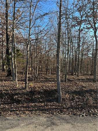 0.31 Acres of Residential Land for Sale in Bella Vista, Arkansas