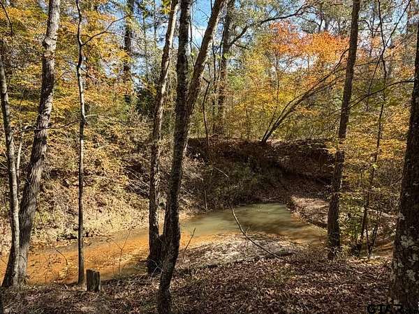 26.9 Acres of Land for Sale in Arp, Texas