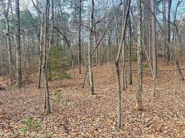 1.64 Acres of Residential Land for Sale in Dawsonville, Georgia
