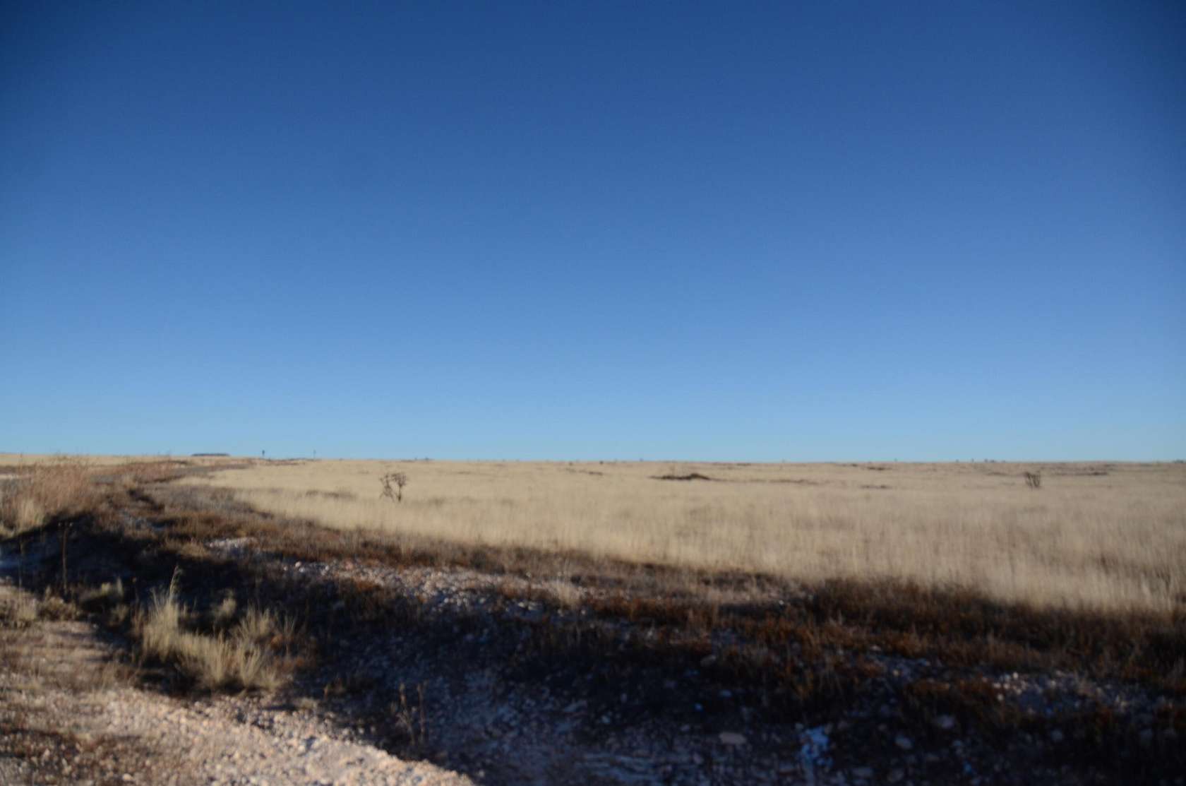 83.5 Acres of Agricultural Land for Sale in Stanley, New Mexico