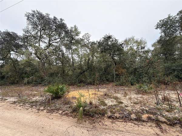 0.63 Acres of Residential Land for Sale in Fort McCoy, Florida