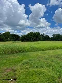 22.2 Acres of Commercial Land for Sale in Opelousas, Louisiana