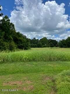 22.2 Acres of Commercial Land for Sale in Opelousas, Louisiana