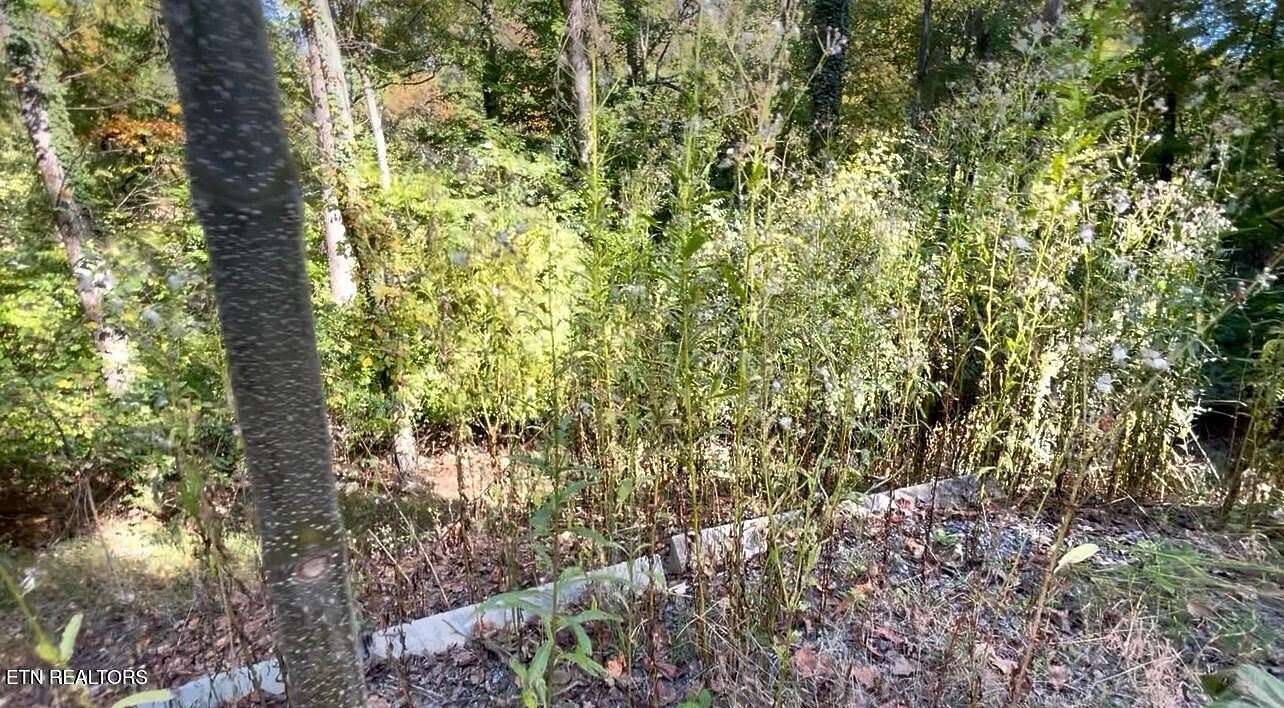 0.1 Acres of Land for Sale in Dandridge, Tennessee