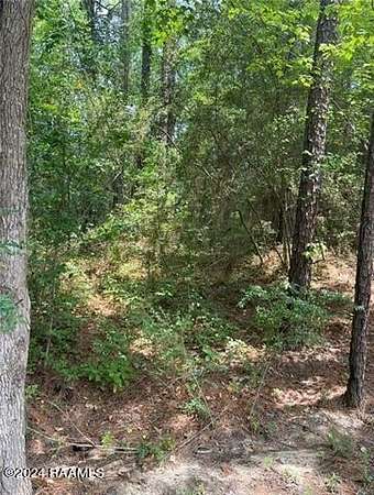 0.33 Acres of Residential Land for Sale in Pineville, Louisiana