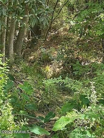 0.33 Acres of Residential Land for Sale in Pineville, Louisiana