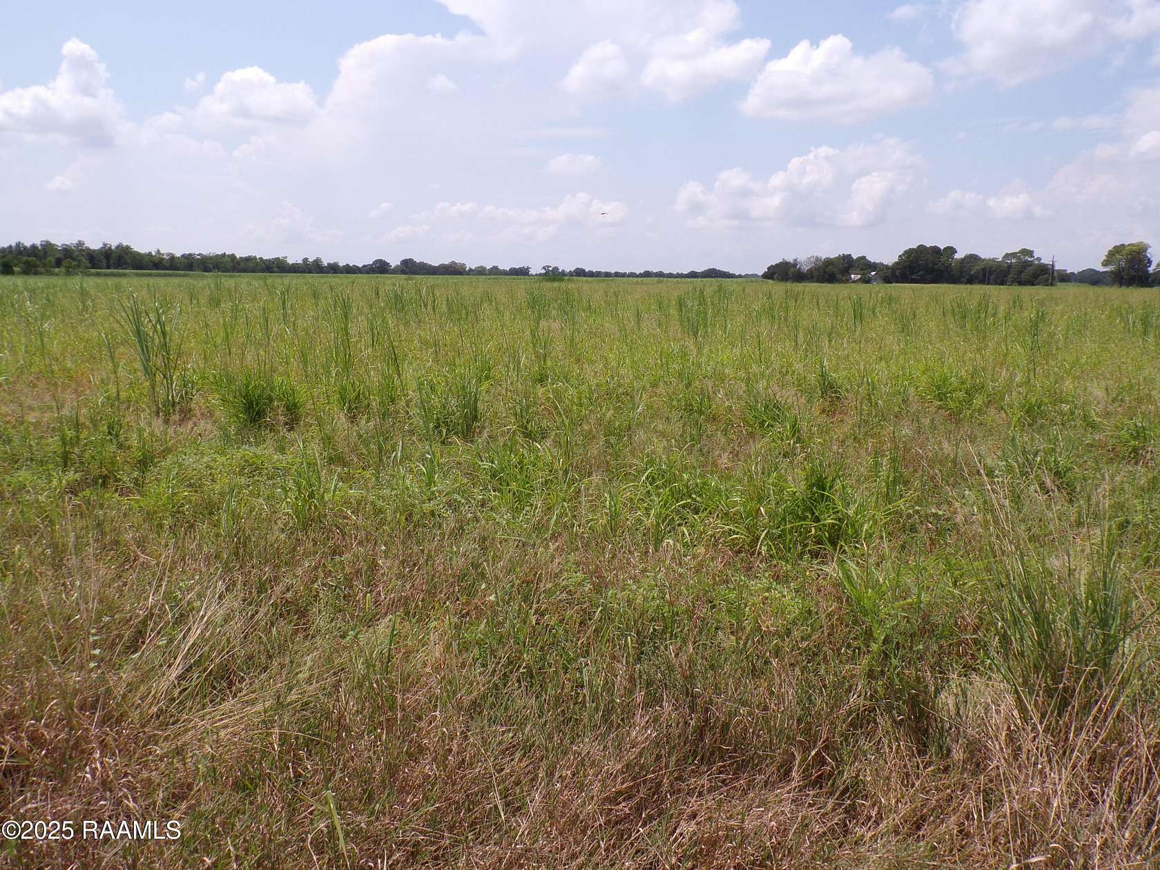 44.5 Acres of Land for Sale in Rayne, Louisiana