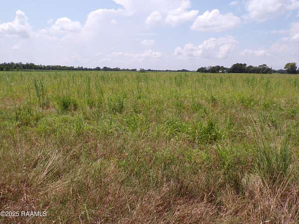 44.5 Acres of Land for Sale in Rayne, Louisiana